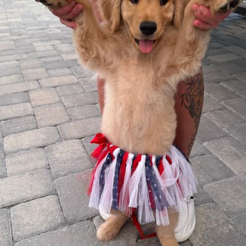 Maggie Mae