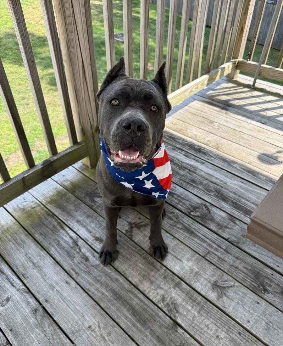 Maximus