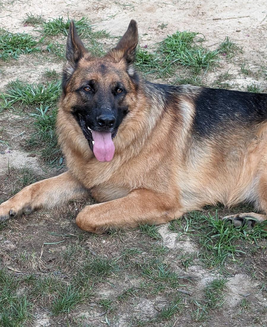 Jax