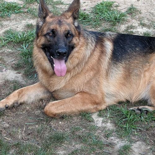 Jax